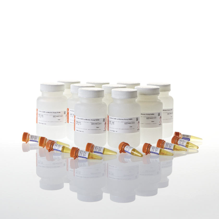 RenillaGlo Luciferase Assay System Nerliens Meszansky AS